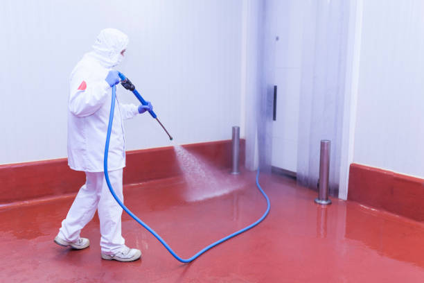 Best Soft Washing  in Wanatah, IN