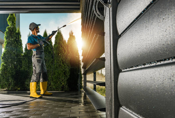 Best Driveway Pressure Washing  in Wanatah, IN